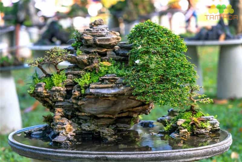 non bộ quần phong nhiều ngọn núi